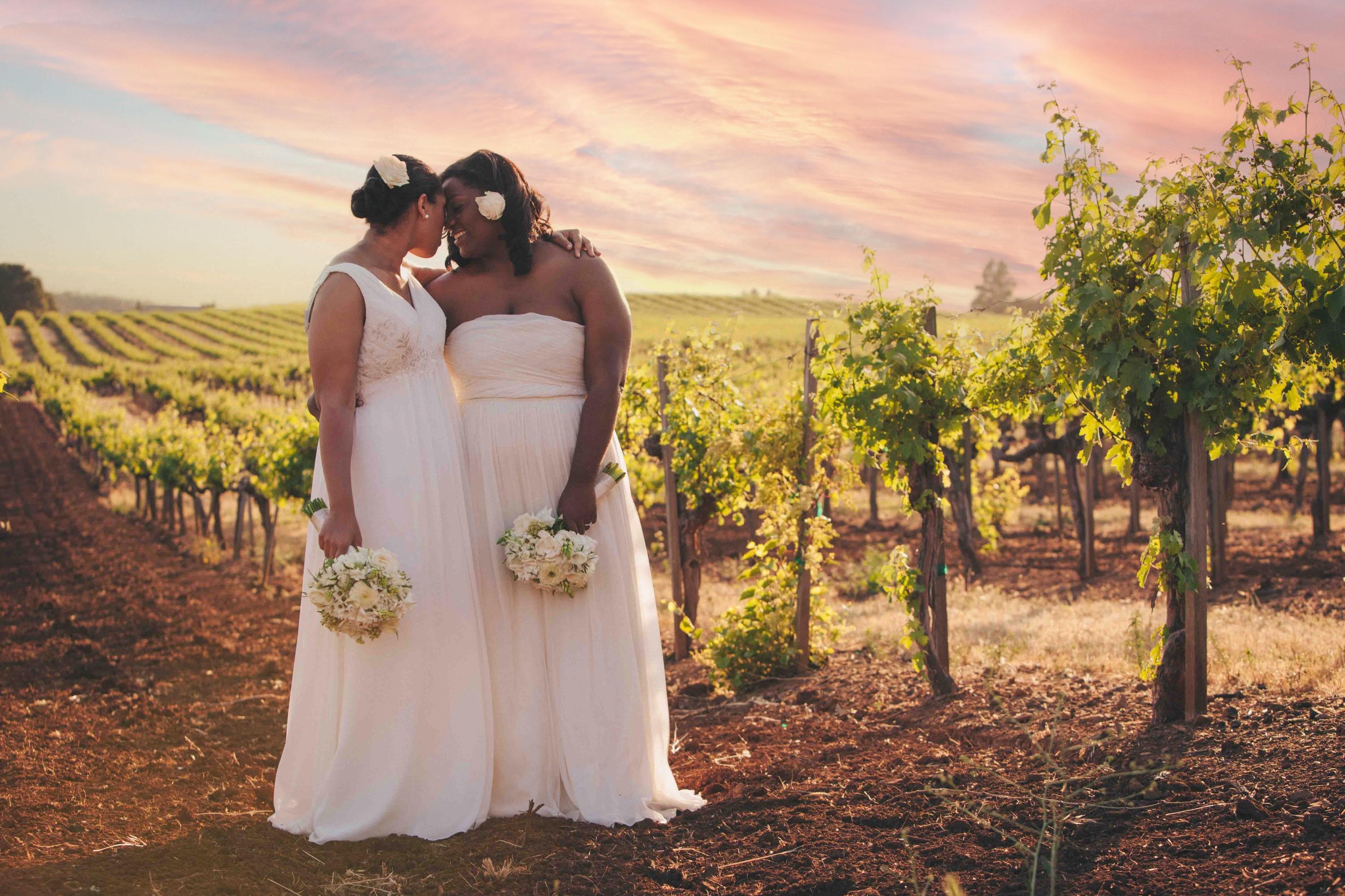 A Fall Wedding to Remember: Rosie & Ashley's Big Day at a Sonoma Winery